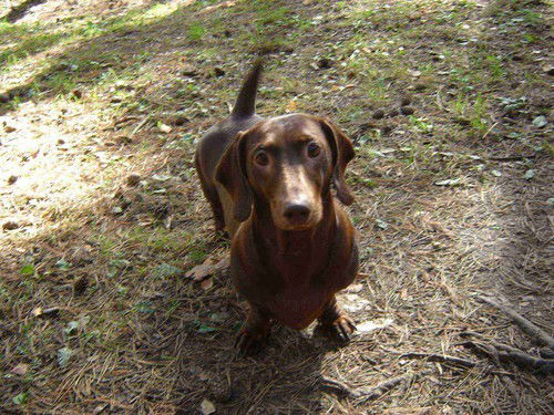 Василий Юрьевич