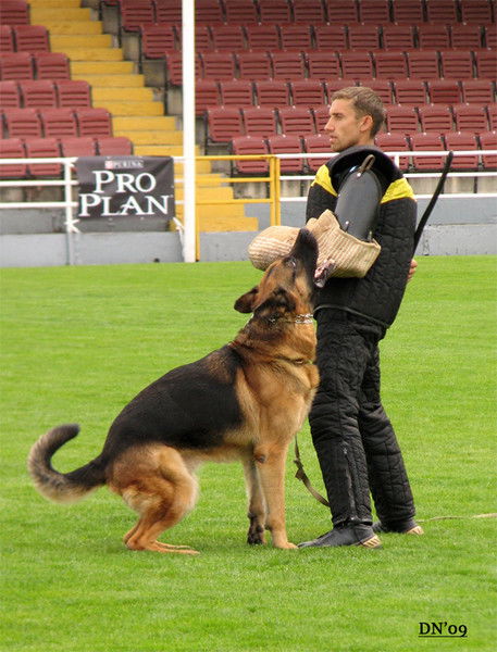 Роман Коржилов