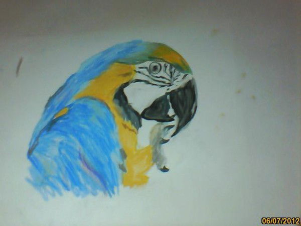 Даниил Рыбкин