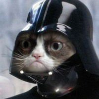 Евгений Шефер