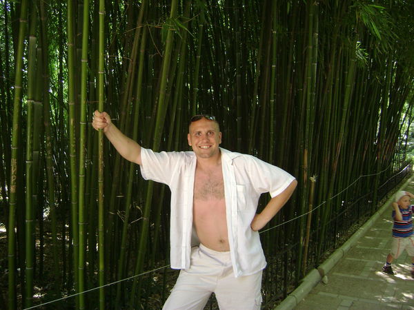 Андрей Бажин