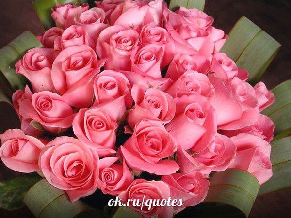 Людмила Дымова