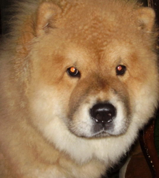 Сергей Газарян