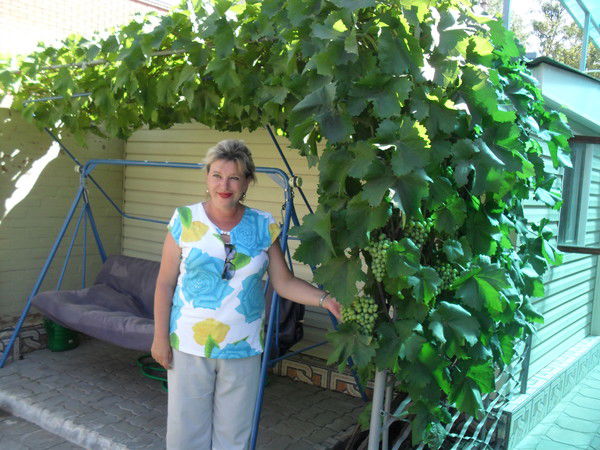 Альбина Старовойтова