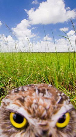 Антон Глазачев