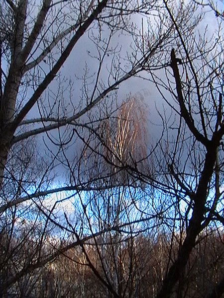 Рауф Канафеев