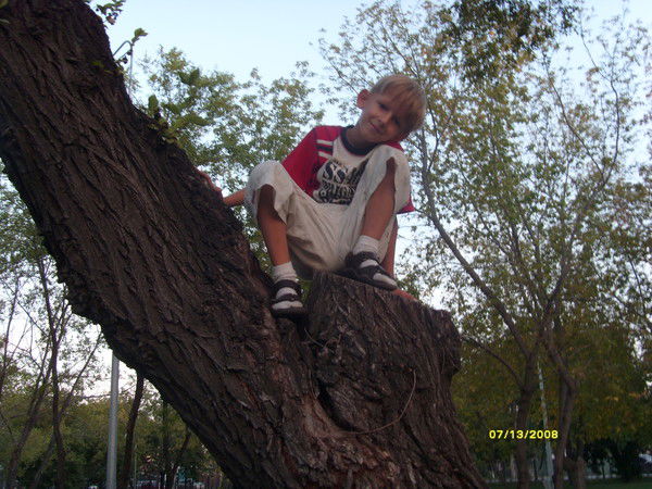 Матвей Матвеев