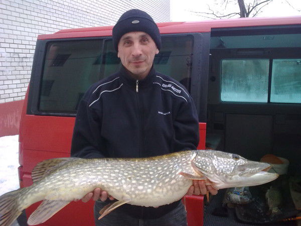 Игорь Сермяжко