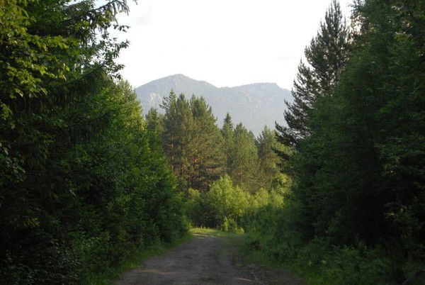 Евгений Ветошкин