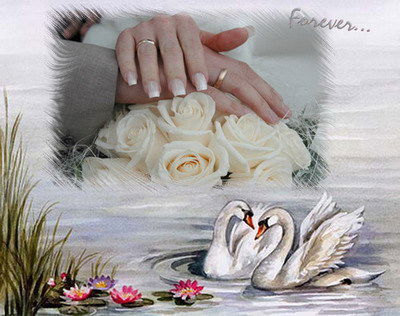 Алма Кайырбаева