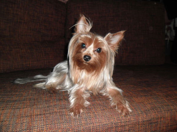 Анастасия Земскова