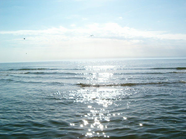 Алла Ларина