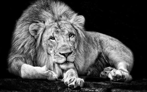 Петя Васечкин