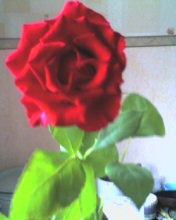 Елизавета Вагура