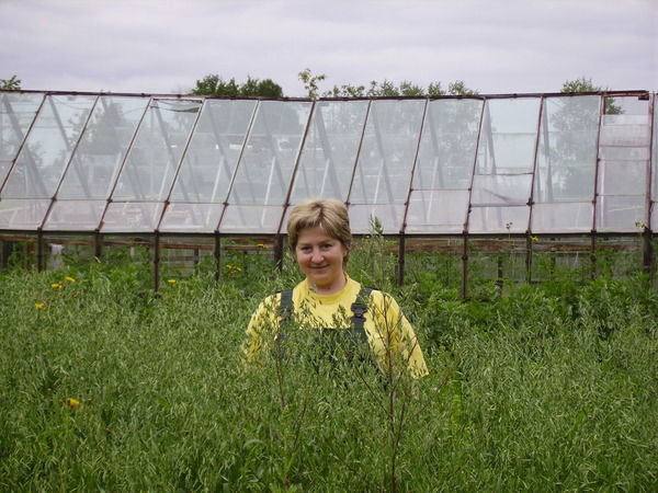 Ангелина Искусных