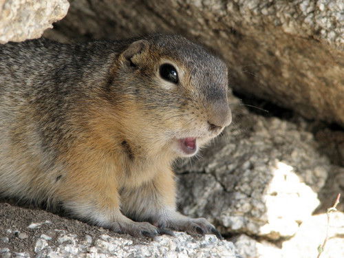 Павел Герасимов