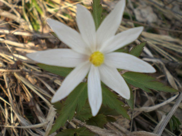 Ольга Белорецк