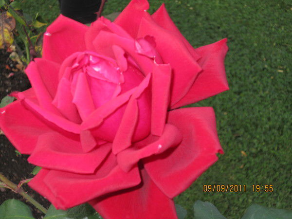 Татьяна Маркова