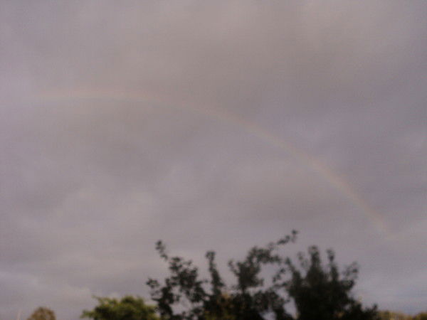 Марина Архипова