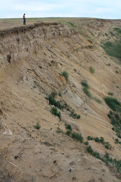 Виталий Березнёв