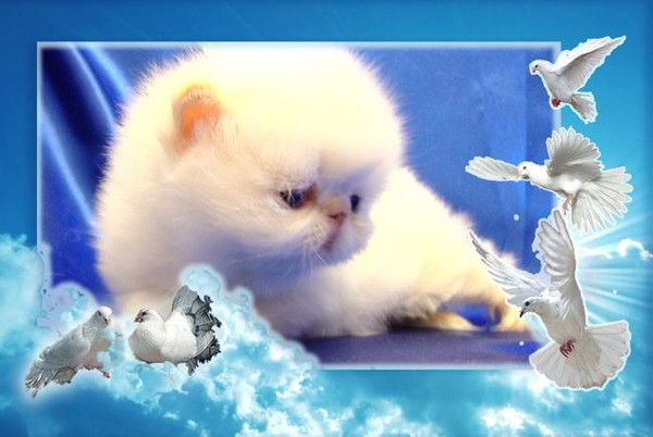 Ирина Гильтяй