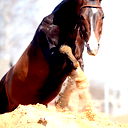 Дастан Темирхан