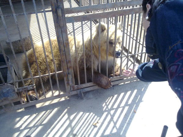 Акылбек Байбузов