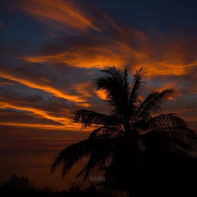 Михаил Ермаков