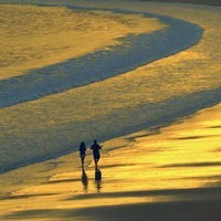 Оля Высоцкая