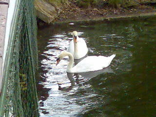 Лариса Корбут