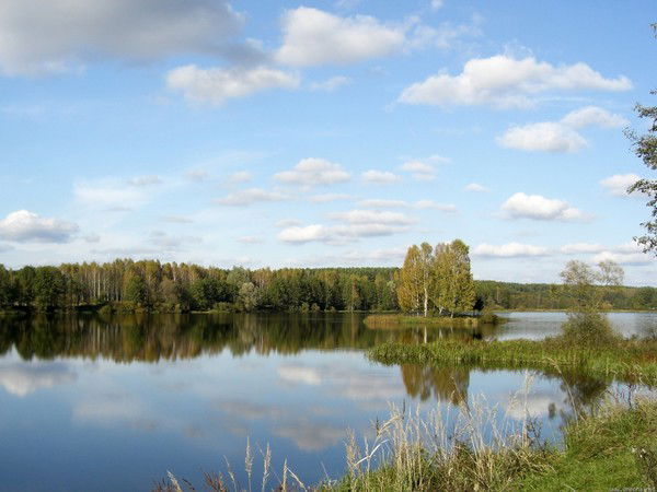 Дмитрий Никандров