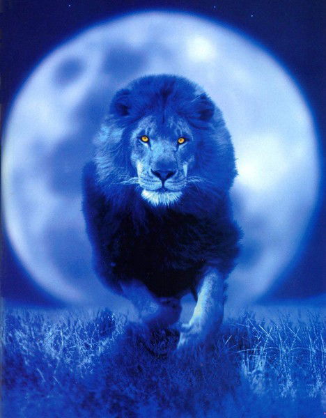 Рашит Тухватуллин