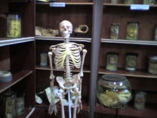 Руфиша Хафизова