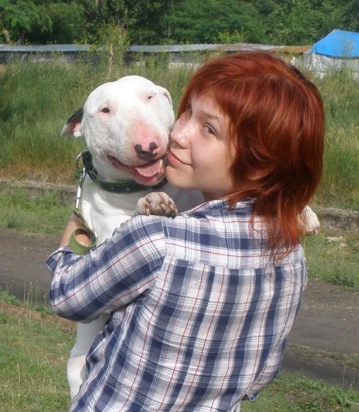 Английский Бультерьер