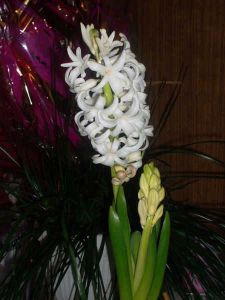 Людмила Кудрина (Терехова)