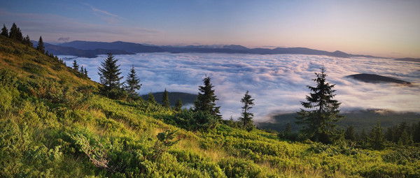 Марина Марина