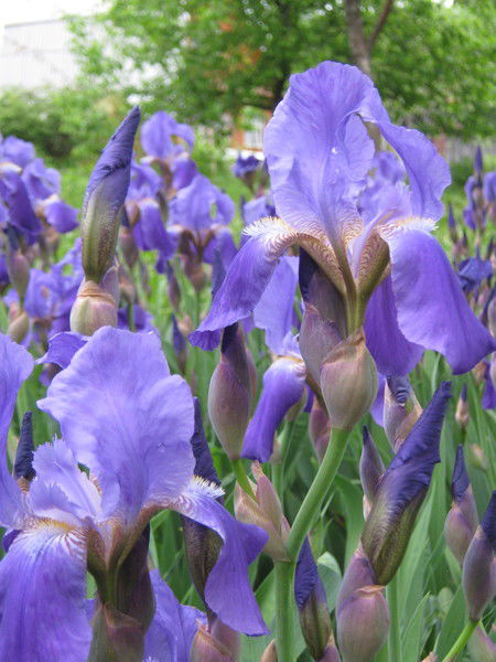 Любовь Кузнецова