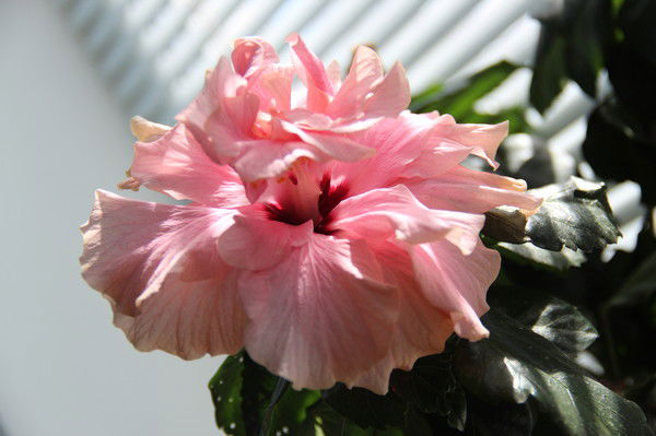 Клименко Светлана