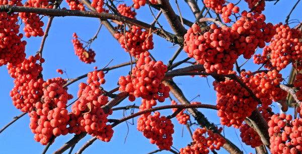 Наталья Анатольевна