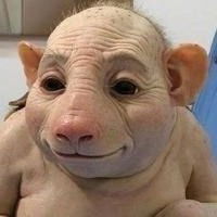 Александр Дубачев