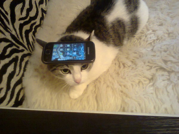 Татьяна Кулина