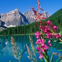 Любовь Косенко