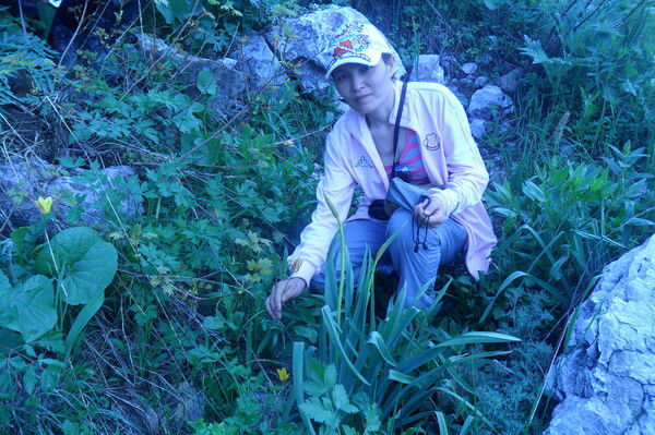 Элеонора Абасканова