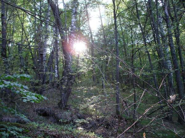 Ирина Рыжкова