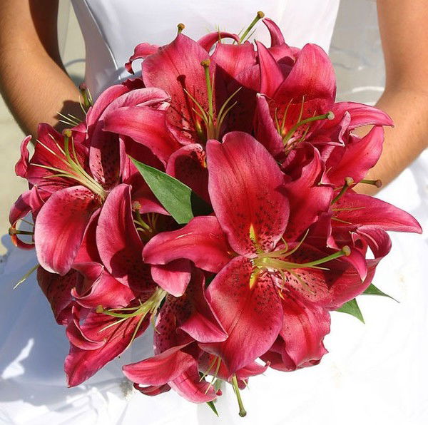 Алечка Лисаковская