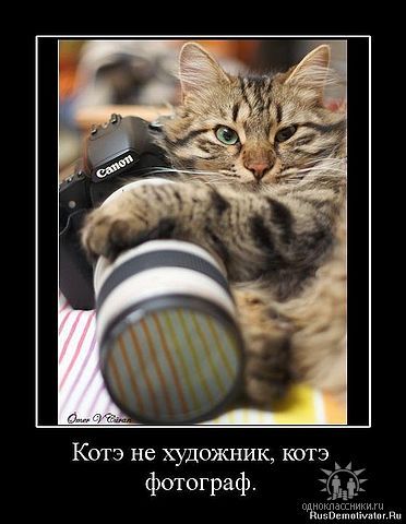 Иван Мальцев