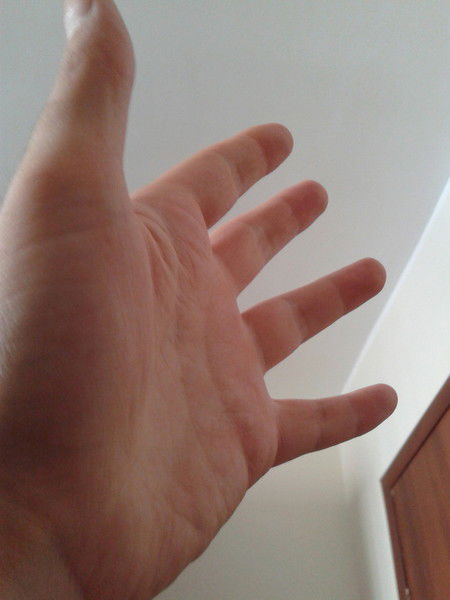 Николай Николаев