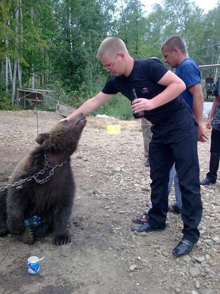Петр Евдокимов