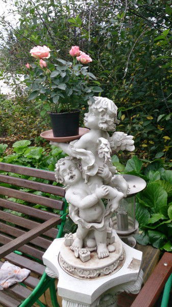 Наталья Токарева