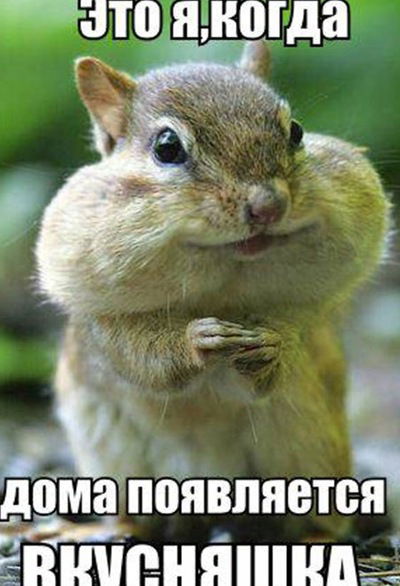 Иван Моржаков